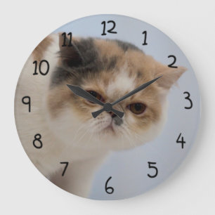 Grumpy Face Cat Large Clock