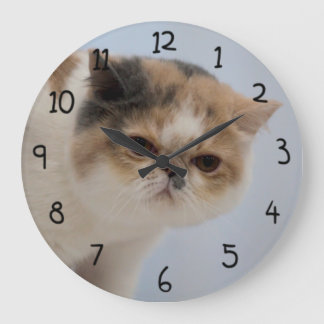 Grumpy Face Cat Large Clock