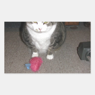 Grumpy Fat Cat is not amused Sticker