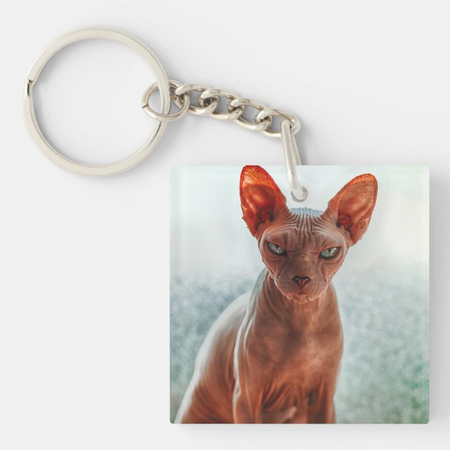 Grumpy Hairless Sphynx Cat Keychain (Front)