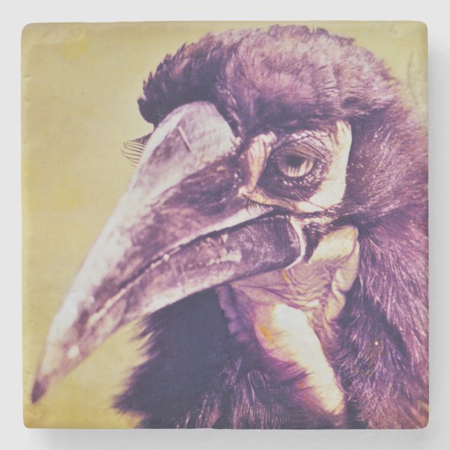 Grumpy hornbill wild life coaster (Front)