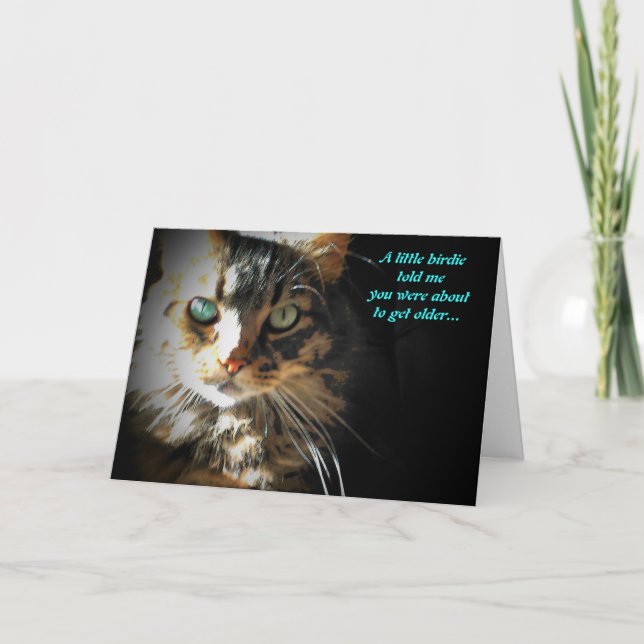 Grumpy Kitty Eats Birdy  birthday card (Front)