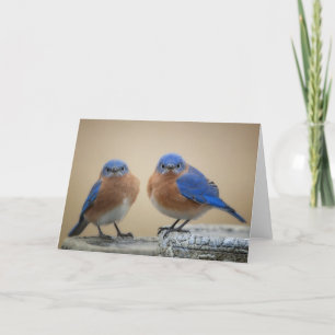 Grumpy little men card