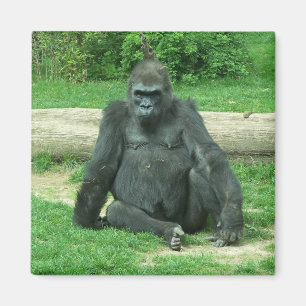 Grumpy Lowland Gorilla Magnet