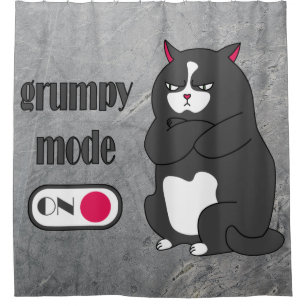 Grumpy mode on funny fat cat