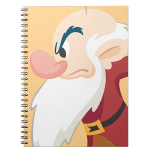 Grumpy Notebook