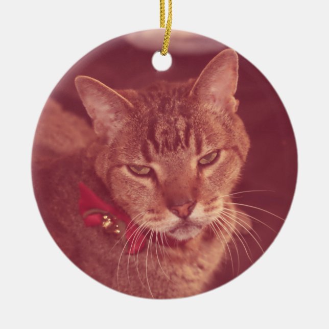 Grumpy Old Deaf Tabby Ornament (Front)