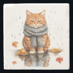 Grumpy Orange Cat in Rain Stone Coaster<br><div class="desc">Grumpy Orange Cat in Rain</div>