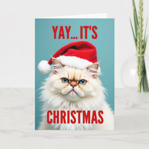 Grumpy Santa Cat Christmas Card