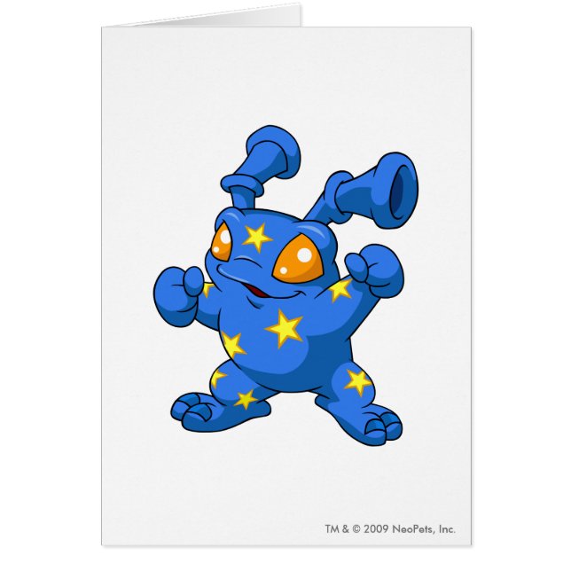 Grundo Starry (Front)