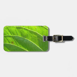 Grünes Blatt, hübsche Blattrippen Luggage Tag