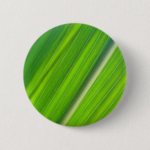 Grünes Maisblattdesign 2 Inch Round Button