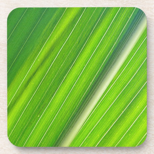 Grünes Maisblattdesign Coaster (Front)