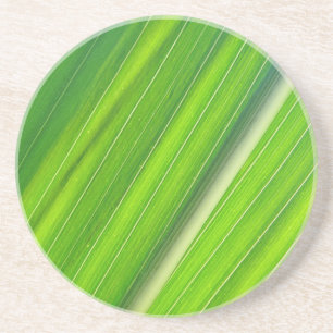 Grünes Maisblattdesign Coaster