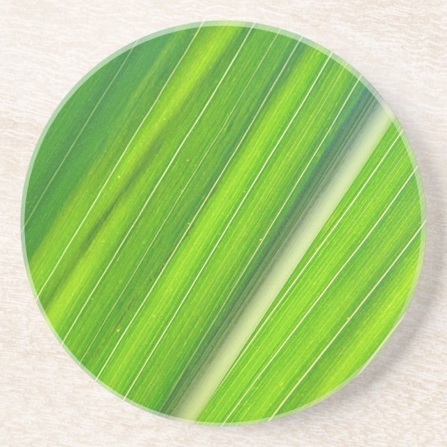 Grünes Maisblattdesign Coaster (Front)