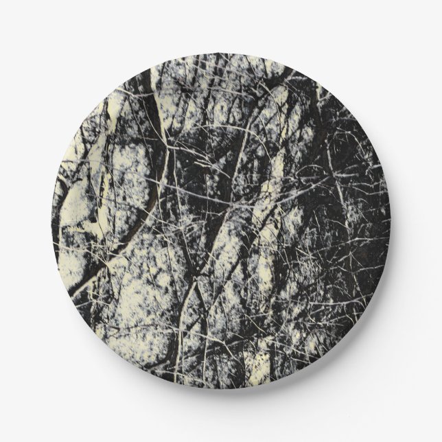 Grunge abstract  paper plate (Front)