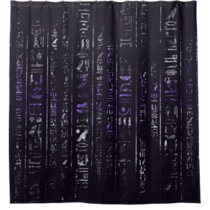 Grunge Amethyst and Silver Egyptian hieroglyphics