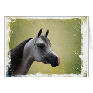 Grunge Arabian Horse