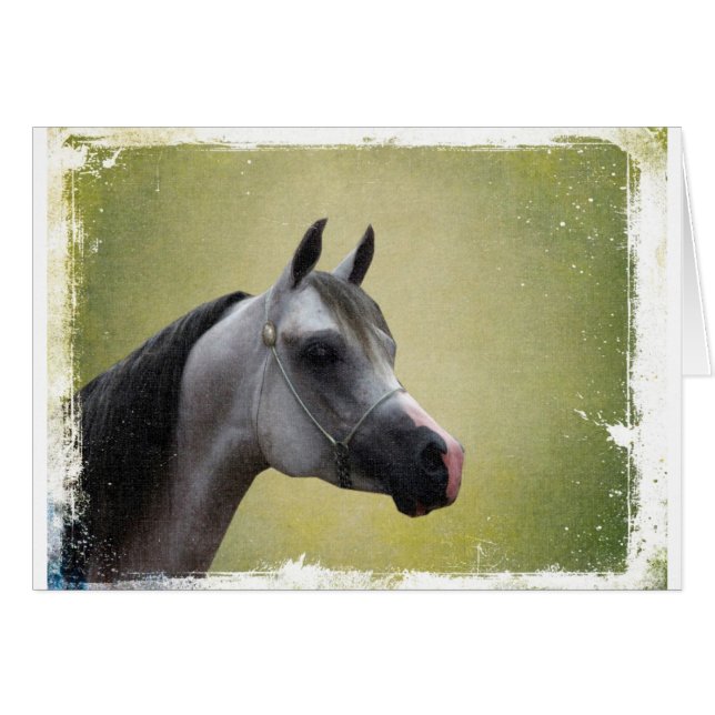 Grunge Arabian Horse (Devant horizontal)