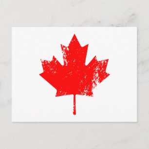 Grunge Canada Flag Maple - Red Distorted Postcard