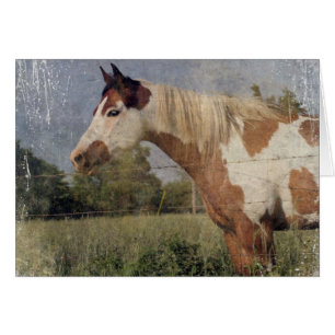 Grunge de cheval de Pinto