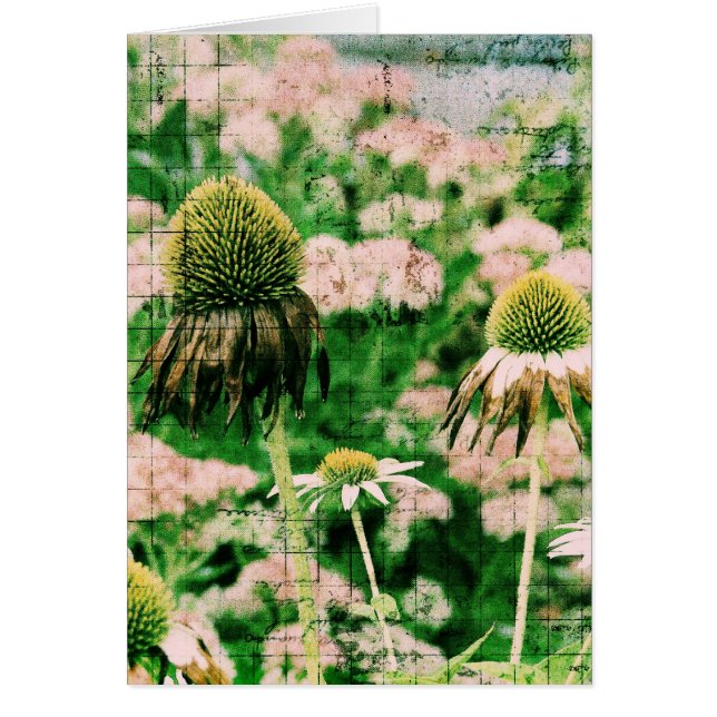 Grunge de Conflowers (Devant)