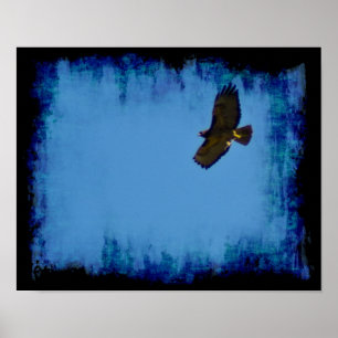 Grunge Hawk in Flight Poster