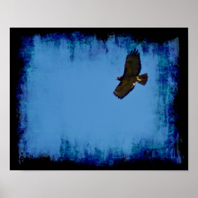 Grunge Hawk in Flight Poster (Front)