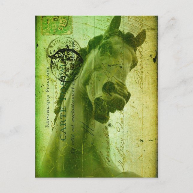 Grunge Horse Postcard-Like Postcard (Front)