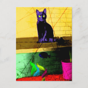Grunge Pop Art Cat on Fish Tank Postcard
