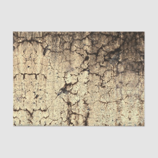 Grunge Rustic Beige Brown Vintage Texture Tissue Paper (Front)