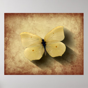 Grunge Yellow Butterfly with Shadow Poster