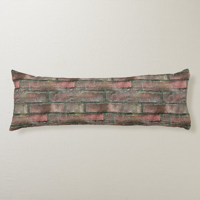 Grungy Dirty Moldy Brick Wall  Body Pillow (Front)