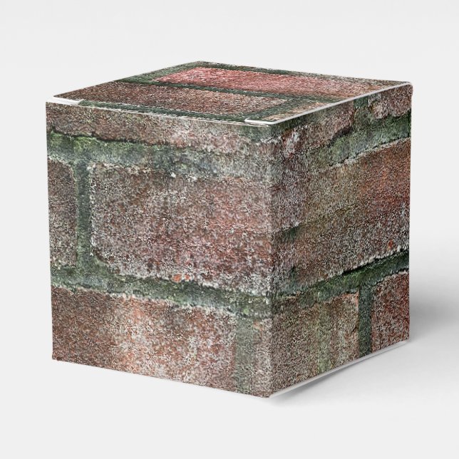 Grungy Dirty Moldy Brick Wall  Favor Box (Front Side)