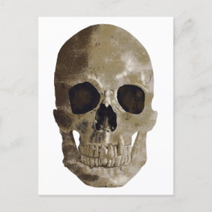 Grungy Skull Postcard
