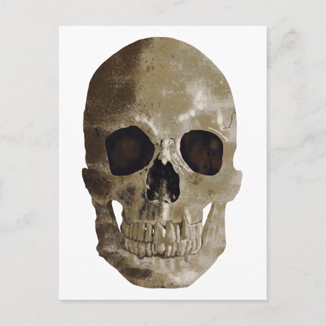 Grungy Skull Postcard (Front)