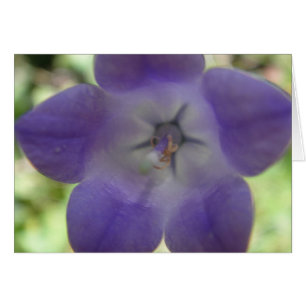 Grusskarte grosse blaue Glockenblume, blanko