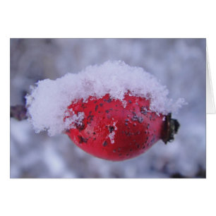Grusskarte verschneite Hagebutte, blanko