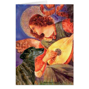 Gryhound (br2) - Mandolin Angel