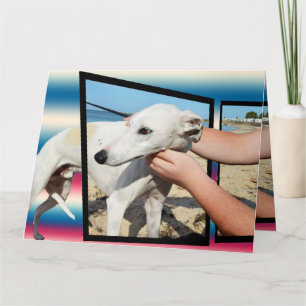Gryhound Trois Dimensions Grande carte de voeux