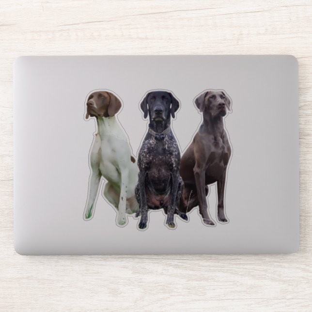 (GSP) Autocollant Deutsch Kurzhaar (Ordinateur)