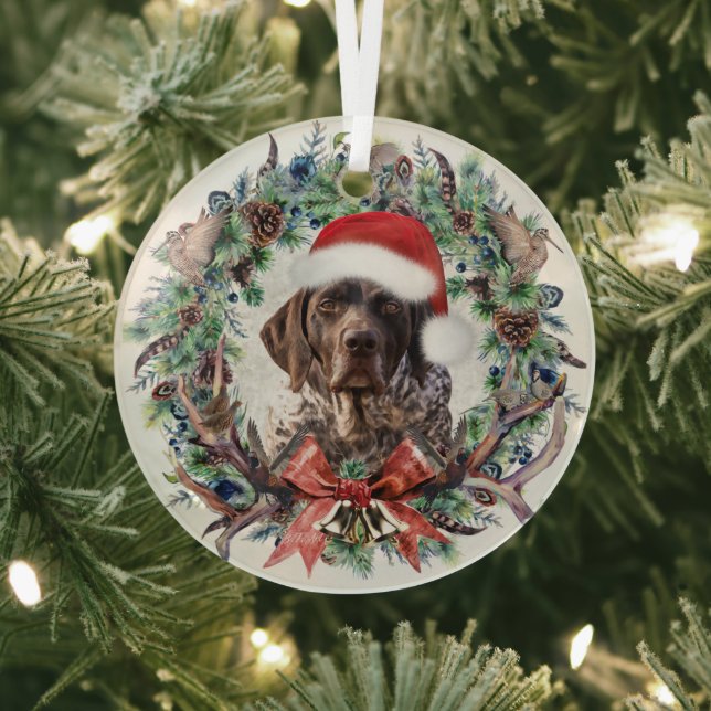 Gsp Christmas Glass Ornament (Insitu)