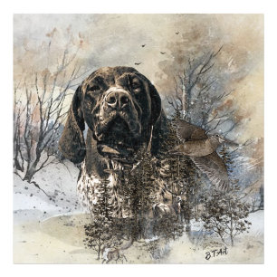 GSP, German Shorthaired Pointer Photo Print