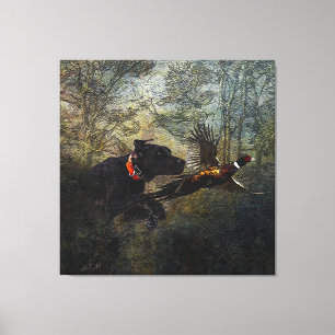 GSP , Hunting pheasant     Canvas Print
