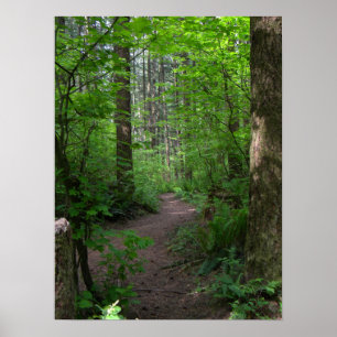 GT forest walk spring 3 Poster