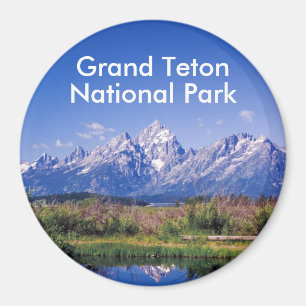 GTNP2 Products Magnet