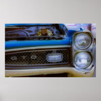 GTO