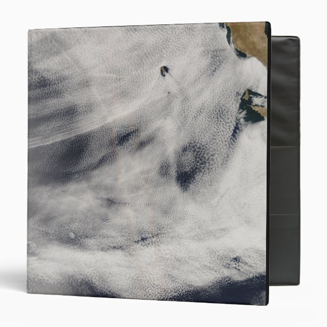 Guadalupe Island Binder (Front/Inside)