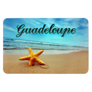Guadeloupe starfish magnet