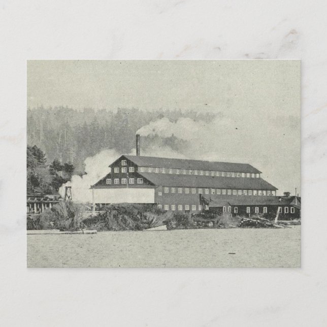 Gualala Mill, California Postcard (Front)